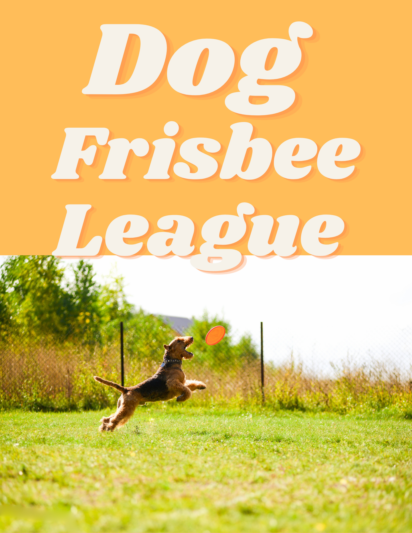 Dog Frisbee League- Wednesday Summer Evenings