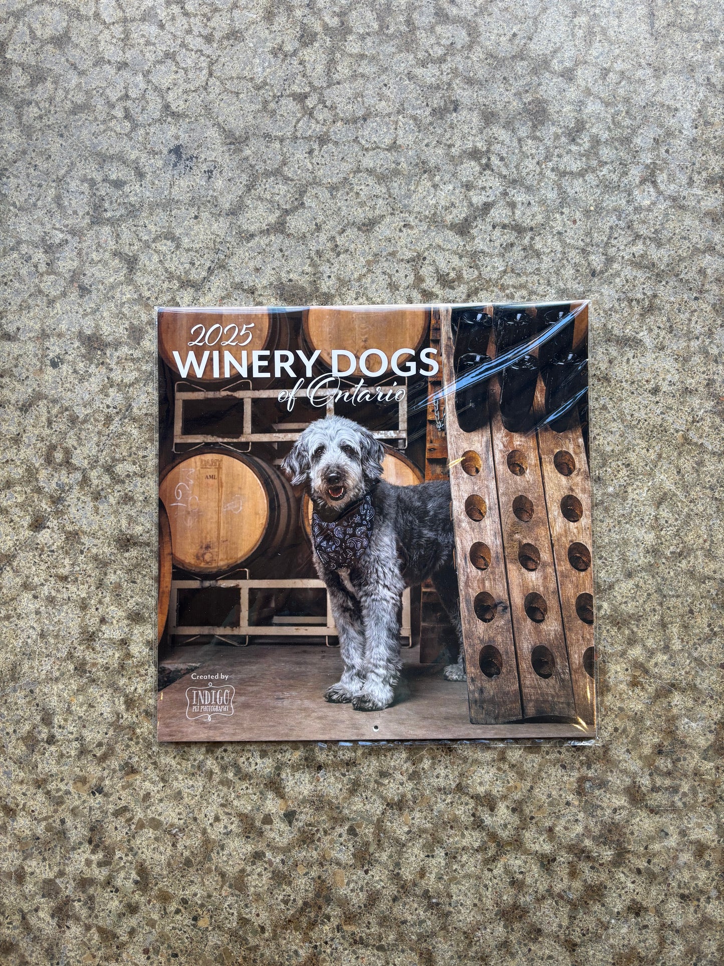 2025 Winery Dogs of Ontario Calendar