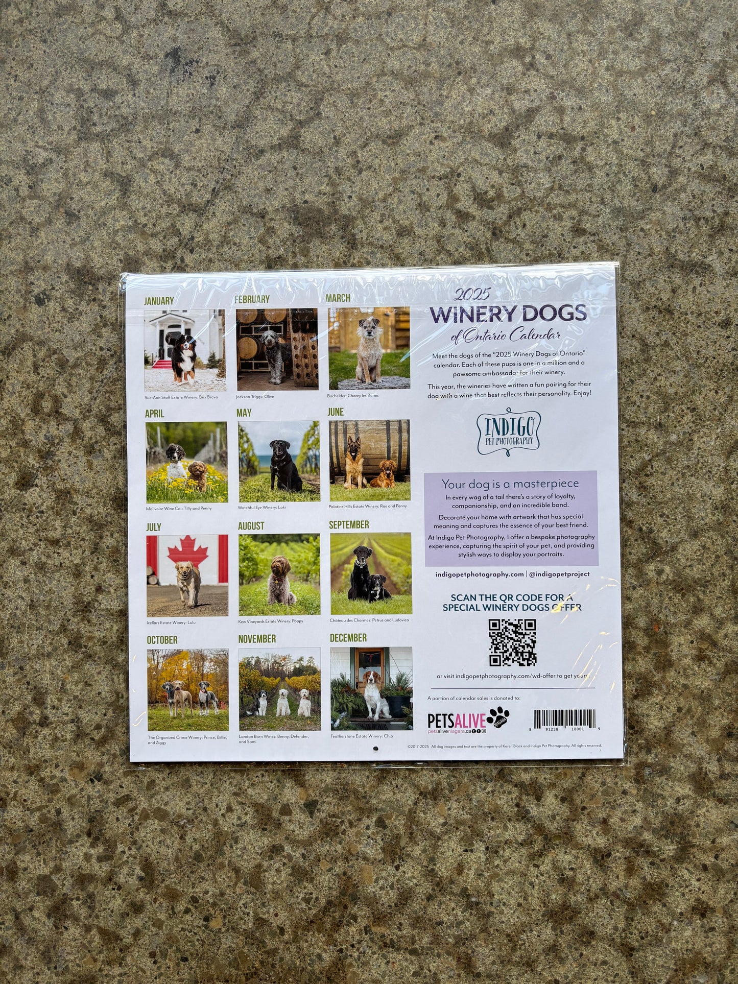 2025 Winery Dogs of Ontario Calendar